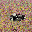 Arm Micro