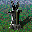 Core Buzzsaw