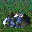 Core Metal Generator