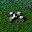 Core 0011