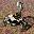 Core Scorpion