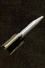 Core Neutron Missile