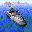 Core Searcher