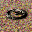Core Neutron Mine
