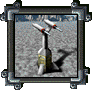 Defenses